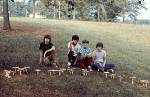Fairy Rings (05/14/03)
