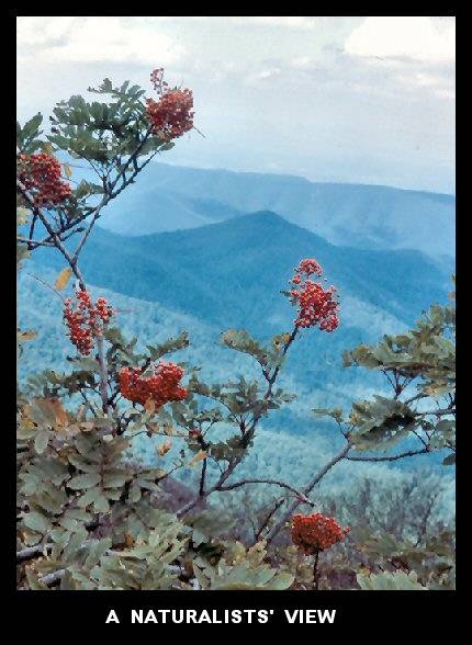 A Naturalists' View A Naturalists' View