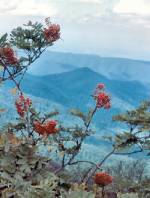 A Naturalists' View (09/03/03)